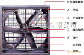 供應(yīng)畜牧養(yǎng)殖負(fù)壓風(fēng)機